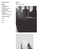 Tablet Screenshot of mathisgasser.com